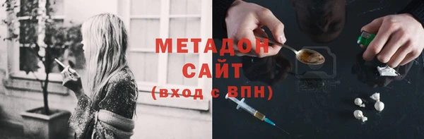 прущие грибы Абинск