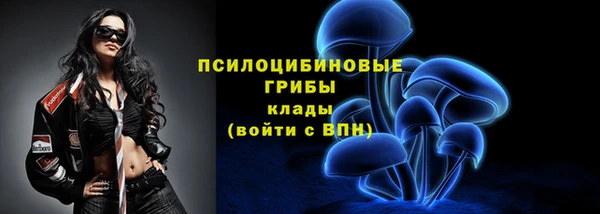 прущие грибы Абинск