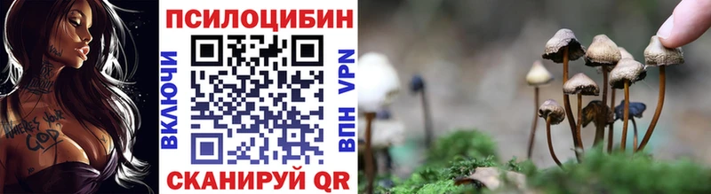 закладка  Лысково  Псилоцибиновые грибы мухоморы 