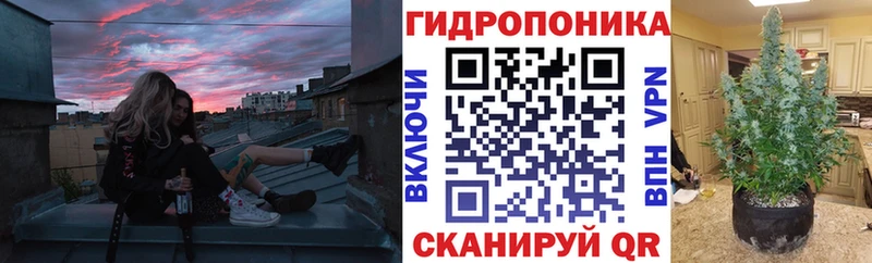 Шишки марихуана ГИДРОПОН  Лысково 